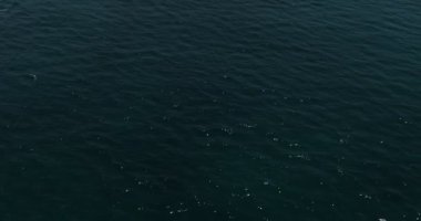 Sakin bir denizde yelken açan özel bir yatın üzerinde bir dron uçuyor. Ağır çekim, Hava.