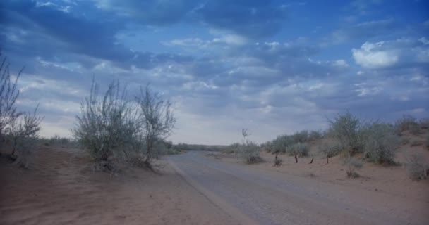 Een Onverharde Landweg Omringd Door Struiken Onder Een Bewolkte Hemel — Stockvideo