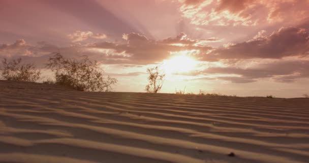 Close Sand Dune Grass Cloudy Sky Sunset Real Time — Stock Video