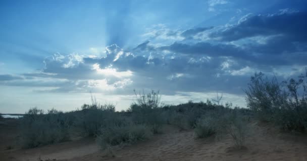 夕阳西下 沙地与青草相映成趣 相映成趣 — 图库视频影像