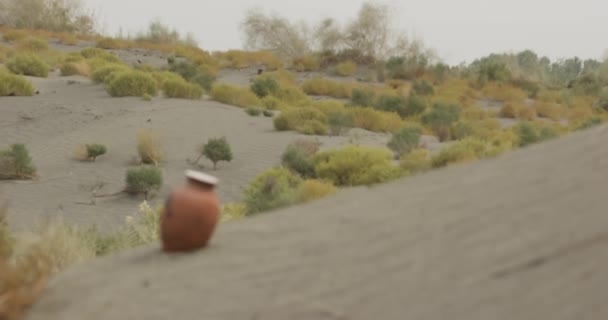 Sivatag Közepén Bokrokkal Fűvel Körülvett Homokdűnén Egy Kerámia Virágoskorsó Áll — Stock videók