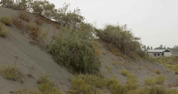 Panorama Sanddyner Mitt Öknen Täckt Med Buskar Och Gräs Realtid — Stockvideo