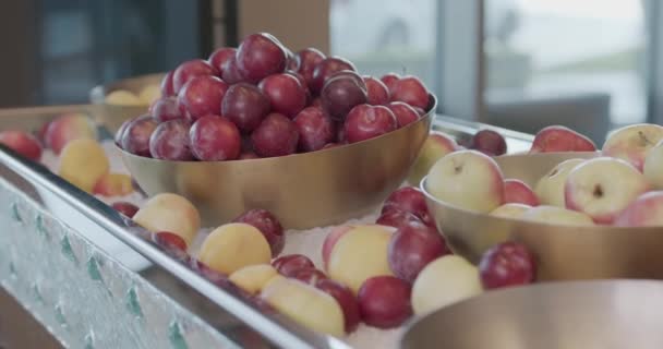 在昂贵的旅馆里 金属薄雾 盘子里塞满了冰块 里面有水果 李子和桃子近身 慢动作 — 图库视频影像