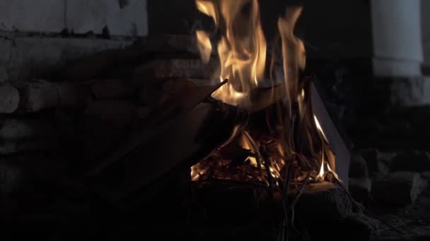 Mână Pune Ramură Într Foc Cărți Arzând Noaptea Fundalul Unei — Videoclip de stoc