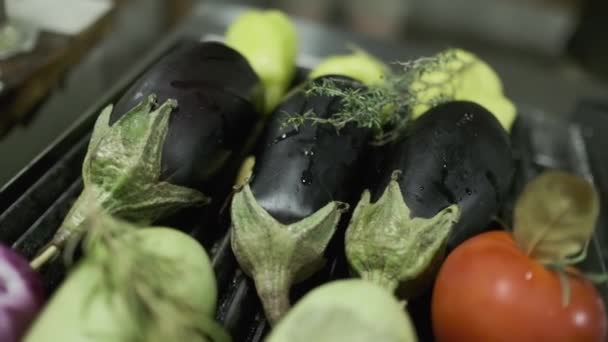 Pomidopen Courgettes Aubergines Uien Andere Groenten Worden Gegrild Trage Beweging — Stockvideo