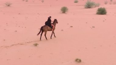 İnsansız hava aracı, kırmızı bir atın üzerinde uçuyor ve yeşil çalıların arasında çölün kumlarında dörtnala koşuyor. Hava görünümü