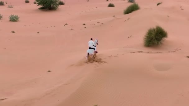 Dron Lata Wokół Samotnego Jeźdźca Białym Koniu Jadącym Przez Pustynię — Wideo stockowe