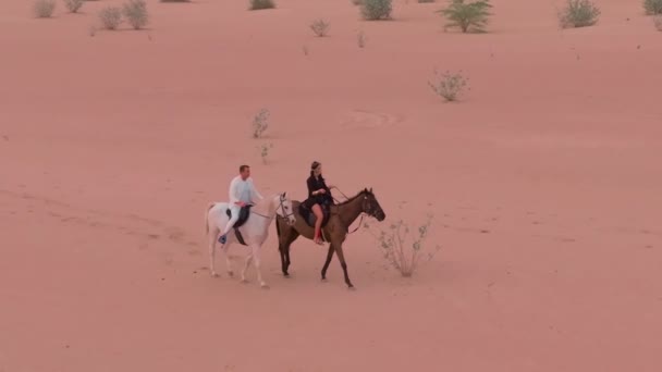 無人機は緑の茂みの間の砂漠の砂に乗って2頭の馬に乗って飛ぶ スローモーション — ストック動画