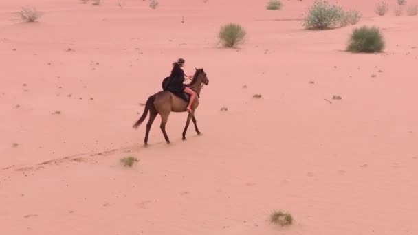Τηλεκατευθυνόμενο Πετάει Πάνω Ένα Κόκκινο Άλογο Καλπάζοντας Στην Άμμο Της — Αρχείο Βίντεο