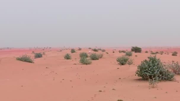 Drona Zboară Călăreț Cal Alb Galopând Nisipul Deșertului Printre Tufișurile — Videoclip de stoc