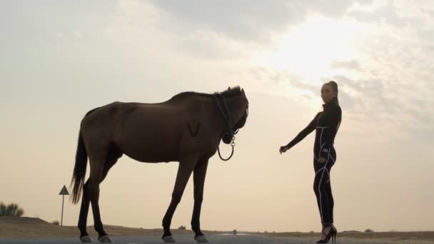 スポーツジャンプスーツの若い美しい女性は 日没の背景に道路上に立って赤い馬に触れる スローモーション — ストック動画