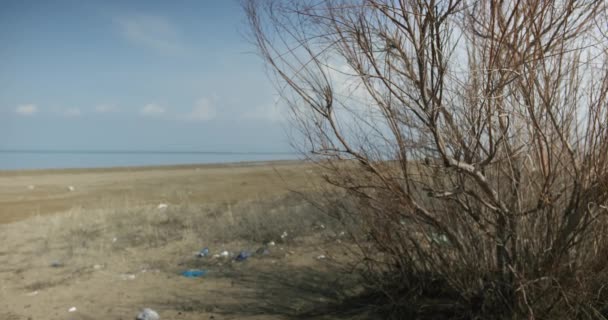 Πανόραμα Θάμνων Δίπλα Στη Λίμνη Ξαπλωμένα Σκουπίδια Μετά Πικνίκ Πραγματικός — Αρχείο Βίντεο