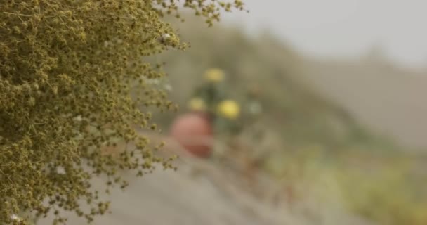 Sebuah Kendi Keramik Bunga Berdiri Atas Pasir Bukit Pasir Tengah — Stok Video