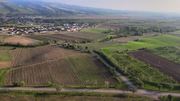 阳光灿烂的日子里 无人机在山丘和田野上空飞行 空中景观 — 图库视频影像