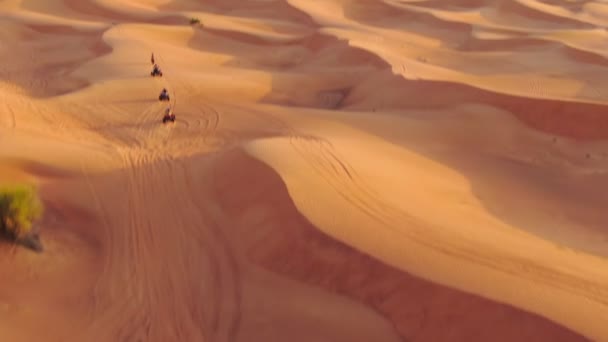 ドローンは アラブ首長国連邦の砂漠の砂丘をドライブするクワッドバイクの上を飛行します 空中風景 — ストック動画