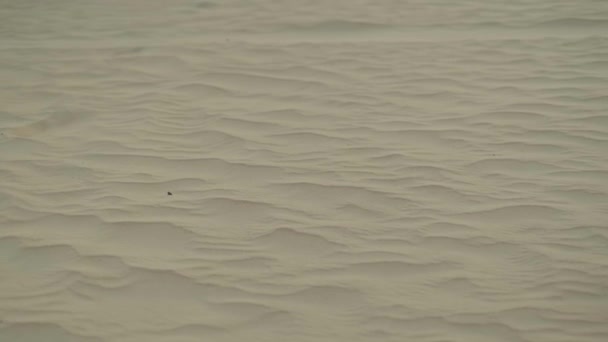 Sanddünen Panorama Der Wüste Bei Dubai Vae Zeitlupe — Stockvideo