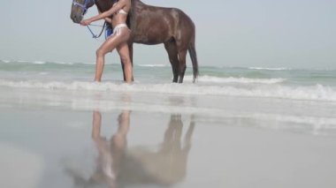 Beyaz bikinili genç esmer bir kadın okyanus kıyısında bir atın yanında duruyor. Yavaş çekim.