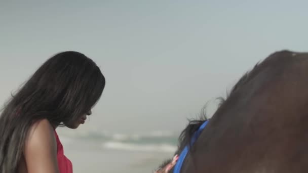 海岸の馬の隣には赤いドレスを着た若い女が立っている スローモーション — ストック動画