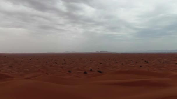 Drone Che Sorvola Dune Sabbia Del Deserto Dubai Una Giornata — Video Stock