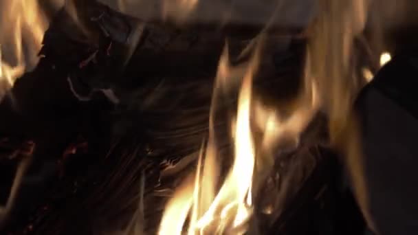 Ένα Ανοιχτό Βιβλίο Που Καίγεται Μια Πυρκαγιά Ξηρών Κτηνιάτρων Νύχτα — Αρχείο Βίντεο