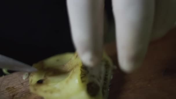 Ένας Σεφ Λευκά Γάντια Λάτεξ Ξεφλουδίζει Και Κόβει Γλυκοπιπεριές Ένα — Αρχείο Βίντεο