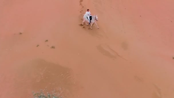 Drone Vola Intorno Cavaliere Solitario Cavallo Bianco Che Cavalca Attraverso — Video Stock