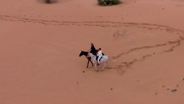 Дрон Пролетает Над Двумя Всадниками Едущими Песку Пустыни Среди Зеленых — стоковое видео