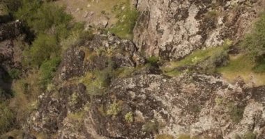 Bir dron dik bir uçurumda duran genç bir atletik dağcının etrafında uçuyor. Hava Görünümü