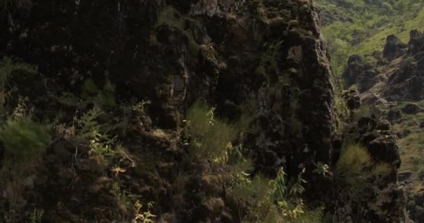 一架无人驾驶飞机绕着一位年轻的女攀登者飞行 该攀登者在陡峭的悬崖上一只胳膊上悬吊着 空中视图 — 图库视频影像