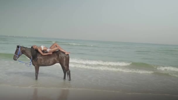 Jovem Morena Biquíni Branco Deitada Parte Trás Cavalo Costa Oceânica — Vídeo de Stock