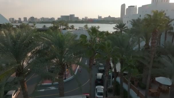 바이만의 해변에 나이트 저녁에 날아다닌다 아랍에미리트 — 비디오