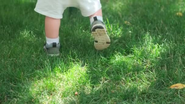 Los Pies Niño Pequeño Sandalias Caminando Sobre Hierba Día Verano — Vídeo de stock