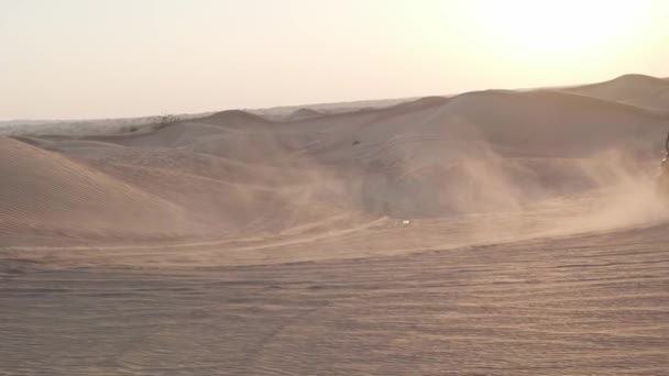 Young Woman Long Black Hair Sportswear Standing Desert Sand Sunset — Stock Video