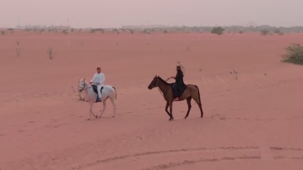 無人機は緑の茂みの間の砂漠の砂に乗って2頭の馬に乗って飛ぶ スローモーション — ストック動画