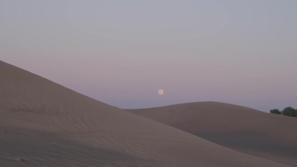 曇りの日に砂漠の砂丘 人はいない — ストック動画