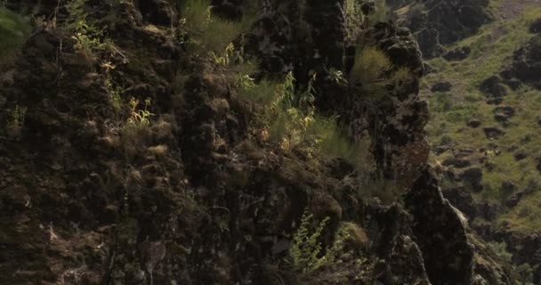 一架无人驾驶飞机绕着一位年轻的女攀登者飞行 该攀登者在陡峭的悬崖上一只胳膊上悬吊着 空中视图 — 图库视频影像
