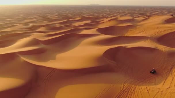 Drönare Flyger Över Fyrhjulingar Som Kör Genom Sanddynerna Öknen Förenade — Stockvideo
