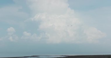 Uçan kuşlarla dolu bulutlu bir gökyüzünün altında panarama otlağı manzarası. Gerçek zamanlı, 4k.