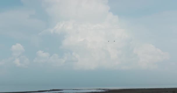 Kilátás Panarama Füves Rétek Alatt Felhős Nappali Repülő Madarak Valós — Stock videók