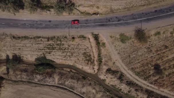 Drone Flies Country Road Surrounded Steppe Bushes Cars Different Colors — Stock Video