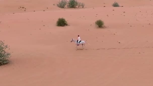 Kolem Osamělého Jezdce Proletí Dron Bílém Koni Projíždějícím Pouští Mezi — Stock video