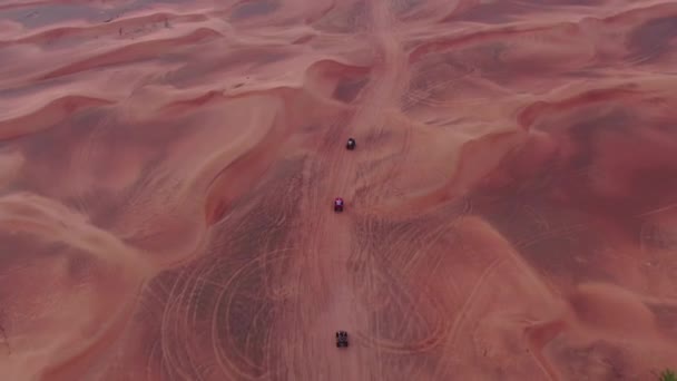 ドローンは アラブ首長国連邦の砂漠の砂丘をドライブするクワッドバイクの上を飛行します 空中風景 — ストック動画
