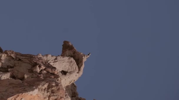 Sarang Burung Tebing Tengah Gurun Melawan Langit Biru Pergerakan Lambat — Stok Video