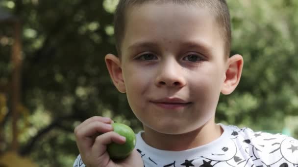 Портрет Підлітка Який Сидить Саду Сонячний День Зеленим Яблуком Руці — стокове відео