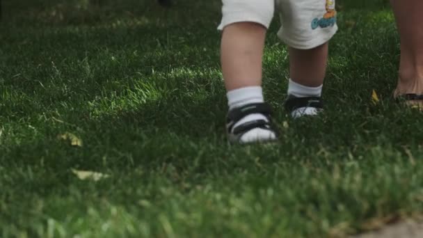 Nogi Małego Chłopca Jego Matki Spacerujących Trawie Sadzie Słoneczny Dzień — Wideo stockowe
