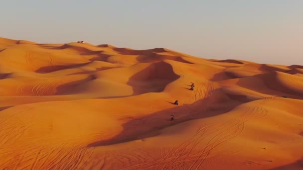 Drone Flies Quad Bikes Driving Sand Dunes Desert United Arab — Stock Video
