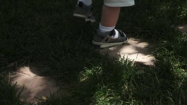 Güneşli Bir Günde Çimenlerde Yürüyen Şortlu Sandaletli Küçük Bir Çocuğun — Stok video