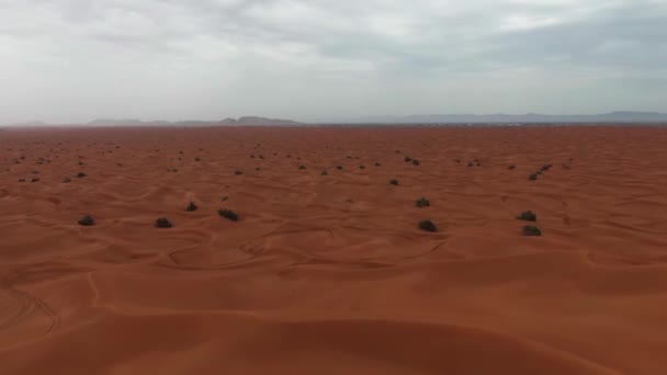 曇った日にドバイの砂漠の砂丘を飛行する無人機 空中風景 — ストック動画