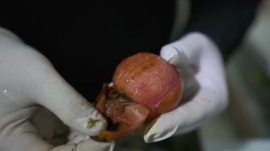 Beyaz eldivenli şef kavrulmuş domates kabuğu soyar. Kapat, Yavaş Hareket