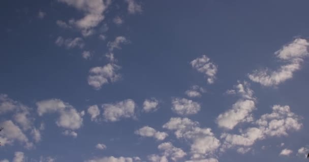 Bir Yaz Gününde Mavi Gökyüzüne Karşı Nadir Bulutlar Yavaş Hareket — Stok video